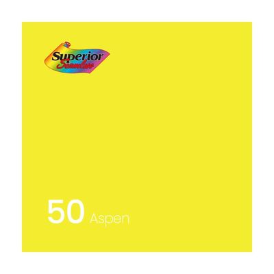 50 촬영 2.7 11m x 스튜디오 Aspen 배경지(WFJR31M)