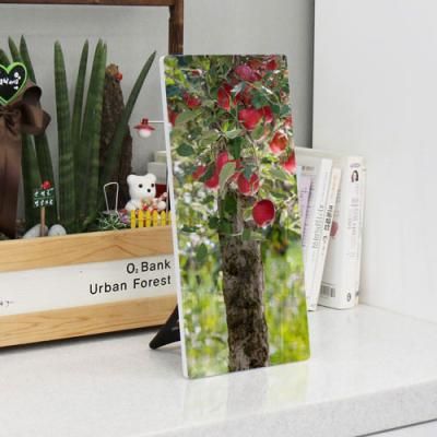 gb585-폼아크릴액자18CmX38Cm_사과주렁주렁나무