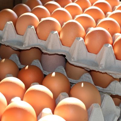 신선보장 파손포장 무항생제 무정란 특란 30구