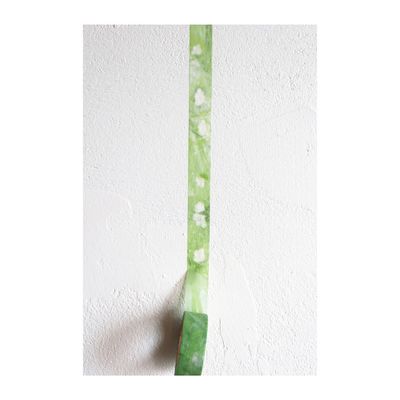 은방울 꽃의 꿈 masking tape