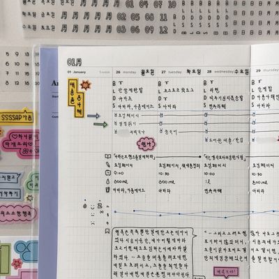 루카랩x졍바우홈 끄적끄적 날짜와 아이콘 키스컷