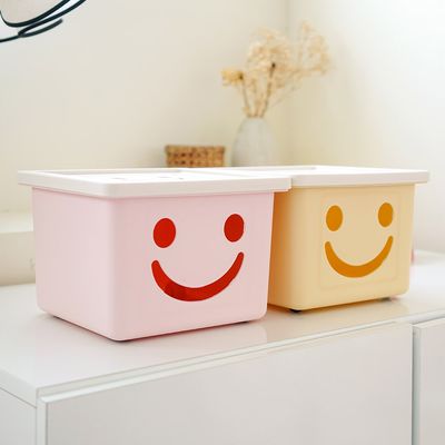 보노하우스 모던 미니 해피박스 2P 수납 정리함