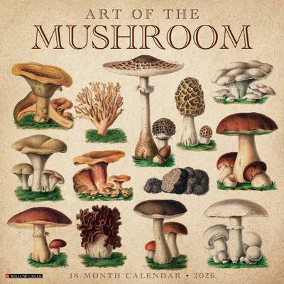 2026벽걸이캘린더 Art of the Mushroom