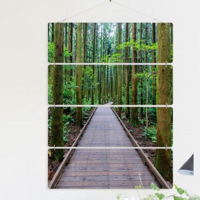 ny828-멀티아크릴액자_힐링이되는숲속길(4단대형)