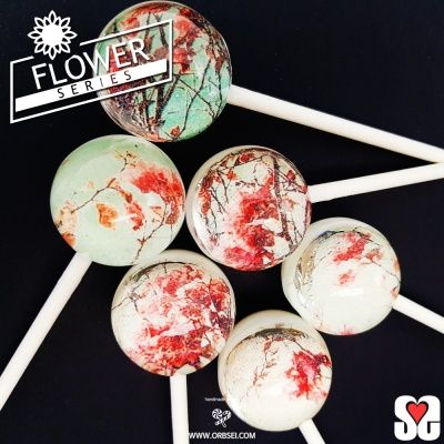 [화이트데이] Pink flower plant(체리맛) (6개입)