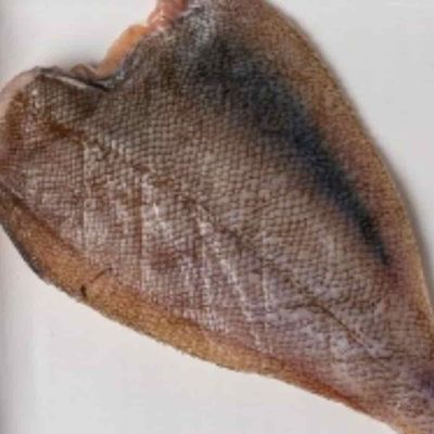 반건조참가자미 20미 국내산가자미 말린가자미 반건조생선세트 가자미생선(WFPDN0H)