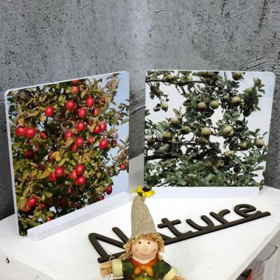 pk317-스탠드액자2P_풍요로운사과나무3