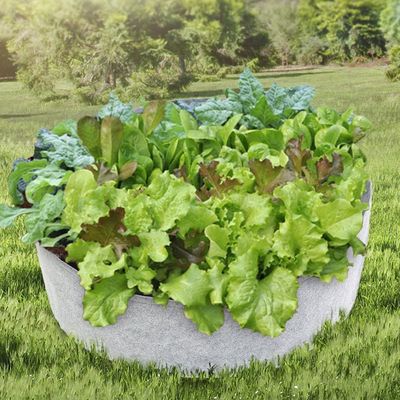 부직포 화분 베란다 상추 대파키우기(WFLOSKV)