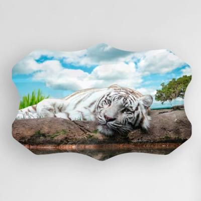 pg085-폼아크릴액자58CmX38Cm엔틱B_신비로운백호