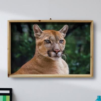 tg871-우드프레임액자_동물의프로필사진(대형)