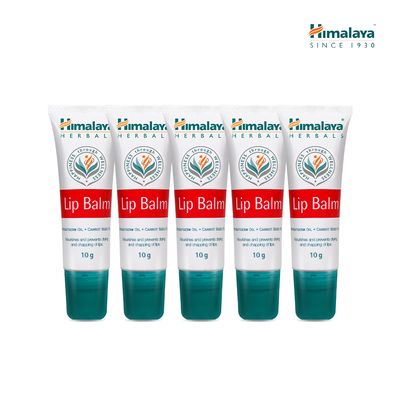 [5개] 히말라야 비건 립밤 10g+미니 립밤