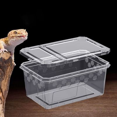 도마뱀 아크릴사육장 소형 크레 사육장 파충류 사육장(WFHVXZL)