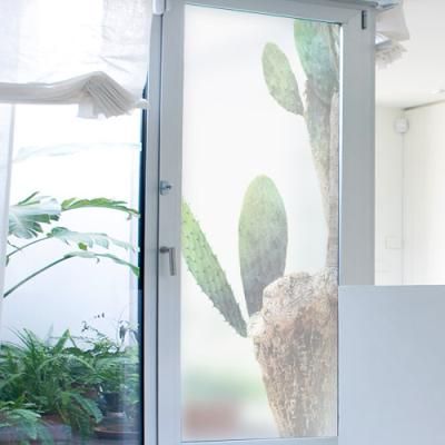 ib138_m-무점착유리시트_비단선인장