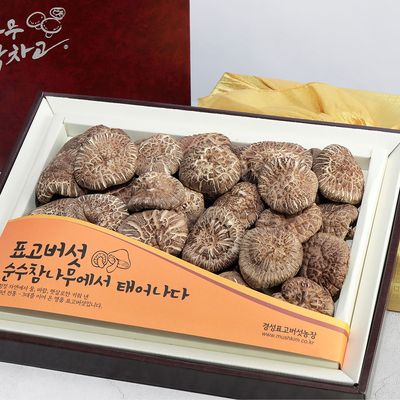 [무농약 경성표고버섯] 참나무박차고 사각 흑화고 선