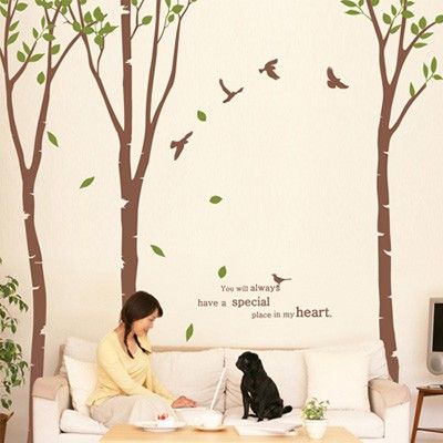 dc091-자작나무숲1