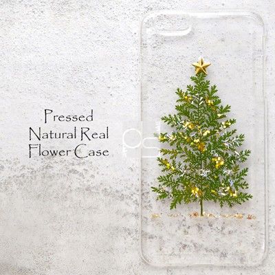 Disegno압화케이스-Christmas Edition 크리스마스에디션 (한정판매)