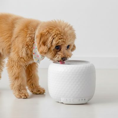 펫슈퍼 고양이 자동급수기 강아지 자동정수기 1.8L