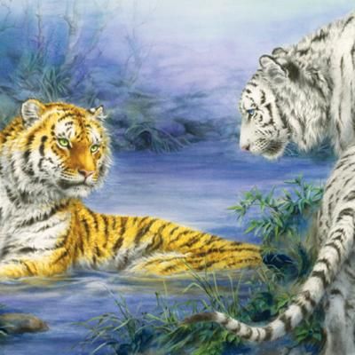 황호와 백호 첫만남 [1000피스/직소퍼즐/동물/PL1355]