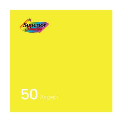 2.7x11m Aspen 스튜디오 배경지 촬영 50(WFJ807R)
