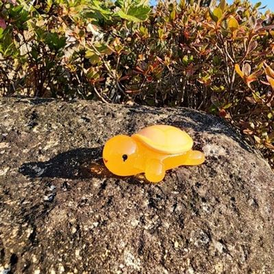 행운 부적 미니 장식품 돈거북(WFGP5HA)