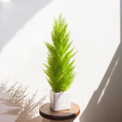 대형 율마 조화 화분 오색자갈 set 56cm 인테리어 꽃