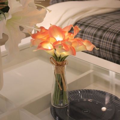 [via k studio] 피치카라부케 LED 무드등