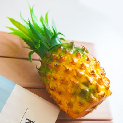파인애플 모형 과일 빵 채소 모조 인조 가짜 장식