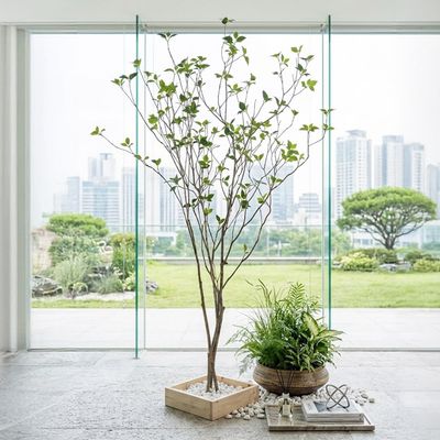 버찌잎 나무 대형 인조 조화나무 180, 210cm 2sizes