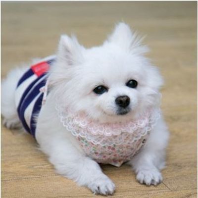 애견 강아지 목받침 플라워 스카프 패션 식사 턱받이[