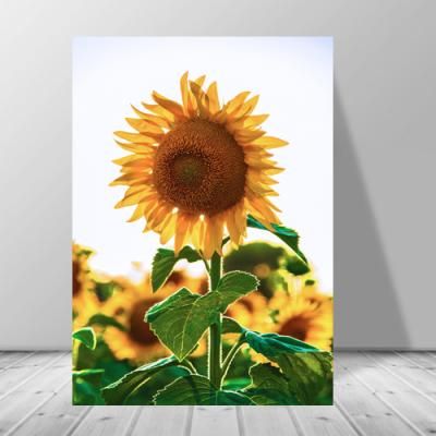 카페인테리어 황금 해바라기꽃그림 캔버스 액자2