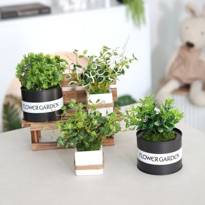 녹색 식물 아이비 조화 화분 그린 스킨 4종 set 15cm