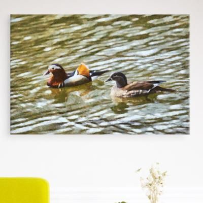 cx607-금실의상징원앙오리_중형노프레임