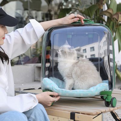 애견용품 마이펫 투명 캐리어 이동가방03