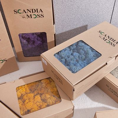 스칸디아모스 천연이끼 공기정화 식물 500g 23컬러