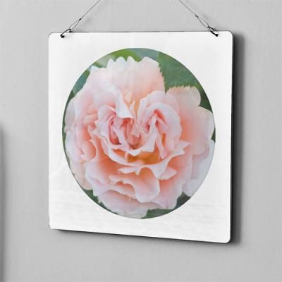 nv589-행잉액자_내방안에작은장미정원(사각원형)