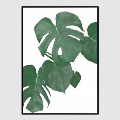 사무실액자 Monstera Aqua 01 A3사이즈(WFG3UXK)