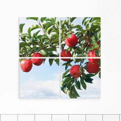 eh773-멀티액자_풍수행운사과나무