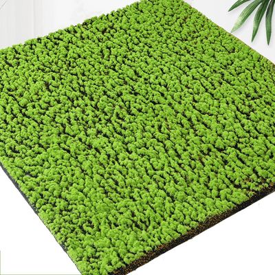 플랜테리어 인조 이끼 2P B-1(100cm*100cm)