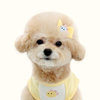 베베 다이노 헤어핀 (옐로우)