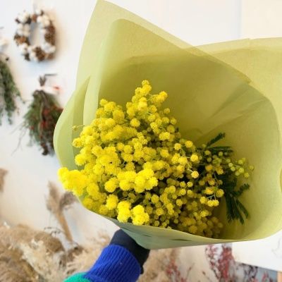 미모사 수입생화 꽃선물 인테리어