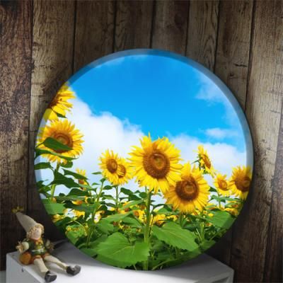 na143-LED액자45R_청명한하늘해바라기