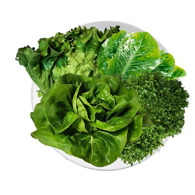 유기농 샐러드 채소 3~4종 혼합 유럽 양상추 1kg