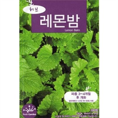 수확용 레몬 밤 씨앗 다년생 허브 씨앗 베란다 가을 식물(WFPAL1W)