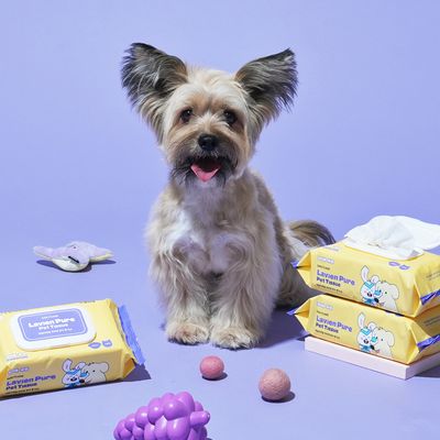 펫생각 데일리케얼 유기농 저자극 강아지 퓨어 펫티슈