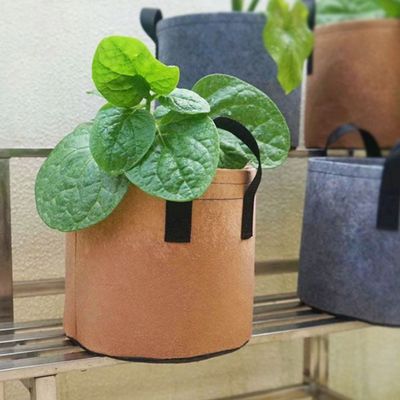 부직포 화분 2p 세트 가드닝 모종 분갈이화분(WFLOSKO)