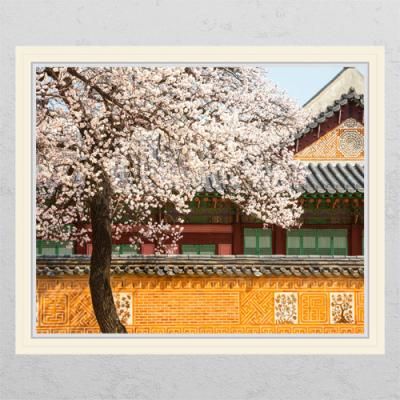 ck806-벚꽃필무렵_창문그림액자