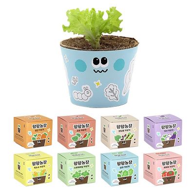 모종 화분식물 키우기 유치원 어린이집 체험 미니텃밭