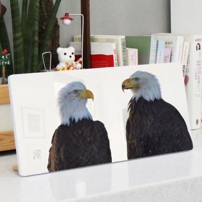 ta975-폼아크릴액자38CmX18Cm_쌍둥이흰머리수리