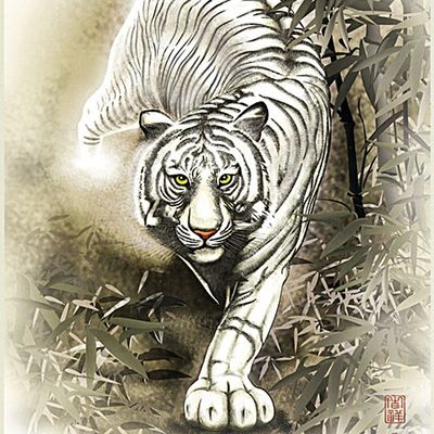 1000피스 백호도 직소퍼즐 PL1253(W335154)