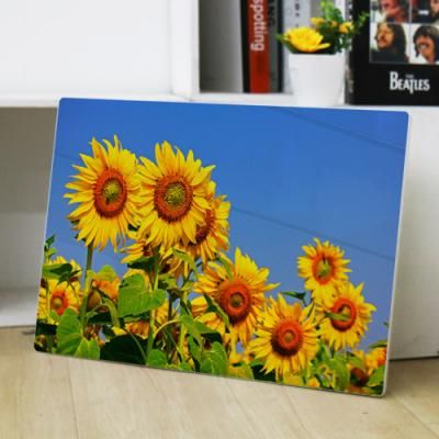 tl304-폼아크릴액자58CmX38Cm_푸른하늘해바라기